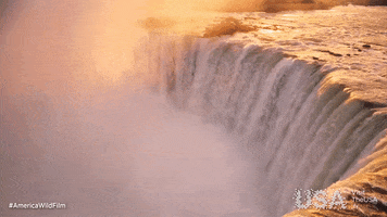 America Wild Film GIF by Visit The USA FR