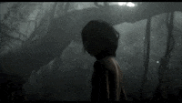 Jon Favreau Disney GIF by Disney's The Jungle Book