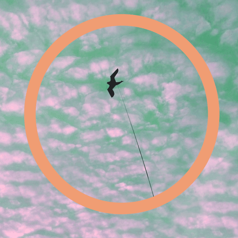 persiis animated GIF