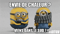 minion-sud-idtgv-l3V0kjUk7SXCLItB6