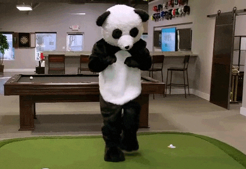 giphy.gif?cid=4d1e4f290007b1a4ba6765b62c046511ed75731c2b0c59f2&rid=giphy.gif