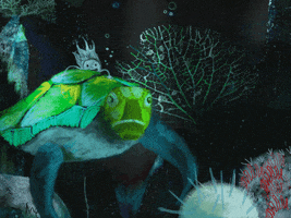turtle swimming GIF by Ana Caro