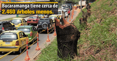 danielapuentesrueda  GIF