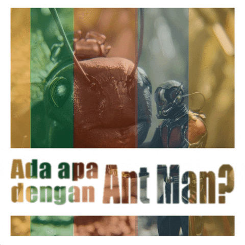 ant man marvel GIF by Percolate Galactic