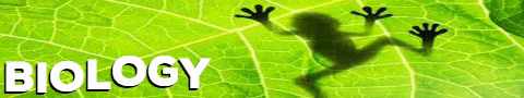 Biology GIF