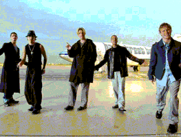 tutu  GIF
