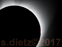 scottdietz solar eclipse camp sherman scott dietz GIF