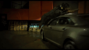 flip stunts GIF by Show Dogs Movie