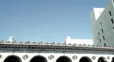P!NK GIF