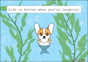 shlii happy kawaii corgi GIF