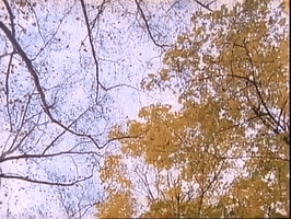 200.gif?cid=fc005b08284df365a11261ac40846d4641119abbd13b01e5&rid=200.gif&ct=g