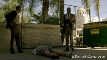 season 3 GIF by Bosch