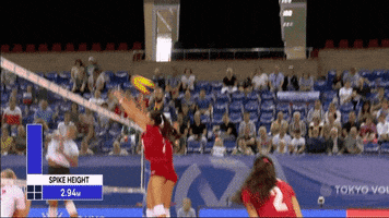 Fight Mexico GIF by Volleyball World