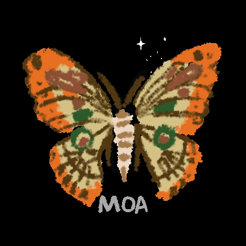 Moartivora mariposa moartivora GIF