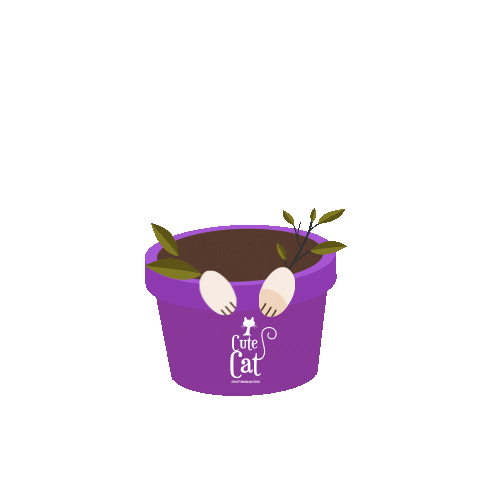 CuteCat Sticker