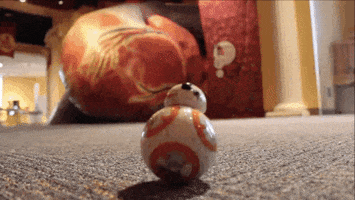 200.gif?cid=fc005b08ebd10c32a19df39e05b542951309118e5682628c&rid=200.gif&ct=g