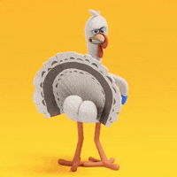 chicken animated gif