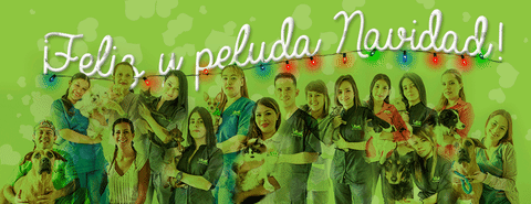 Feliz Y Peluda Navidad GIF