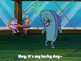 season 3 GIF by SpongeBob SquarePants
