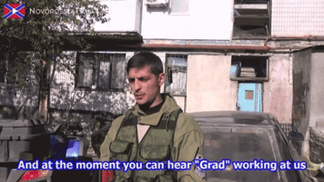 polandball  GIF