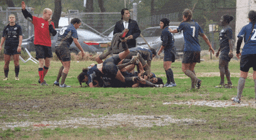 shirakazulanoy rugby GIF