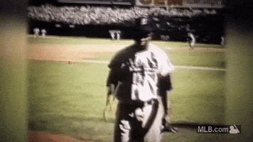 Jackie Robinson Hello GIF by MLB