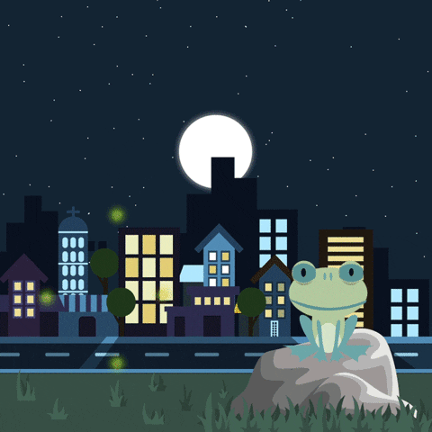 Rana GIF by Metric.Consulting