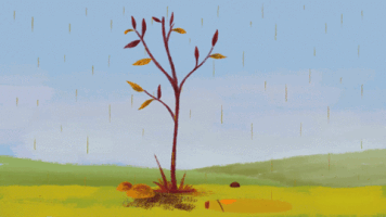 movieco  GIF