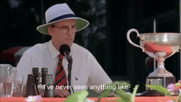 tlschampagne crackerjack GIF