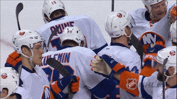 New York Islanders Hockey GIF by NHL