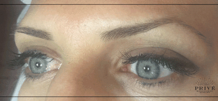 tatjanadamjanovic  GIF