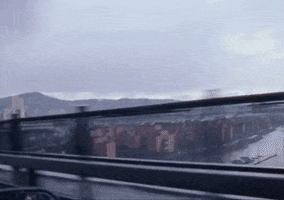 driving pacific northwest GIF by Fandor
