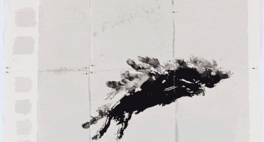 louisiana #flying #williamkentridge #kentridge #lightasafeather #flylikeabird GIF