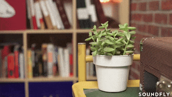 micing a plant tiny mic GIF by Soundfly