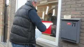 bartmeese5 kantoor GIF