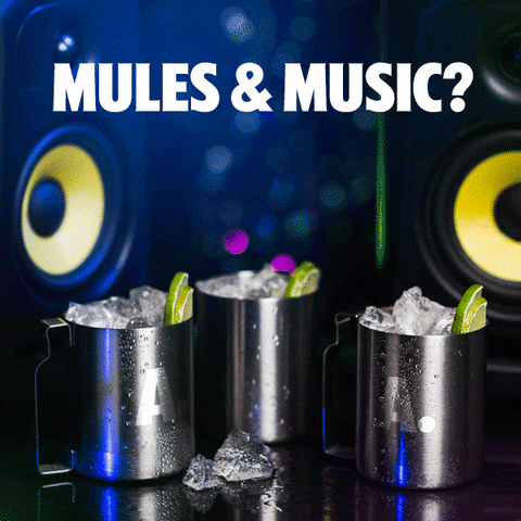 moscow mule netflix and chill GIF by Absolut Vodka