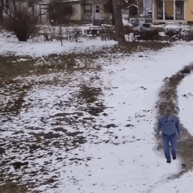 wittyfeedcom  GIF
