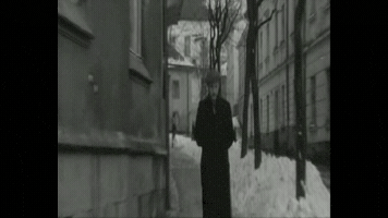 variantylvivua  GIF