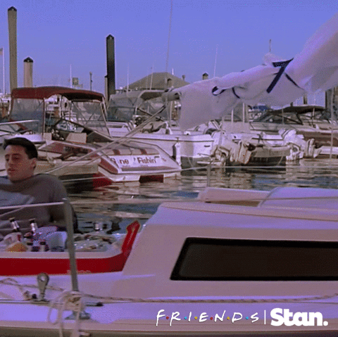 summer with friends GIF by Stan.
