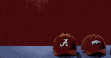 sec GIF by Southeastern Conference