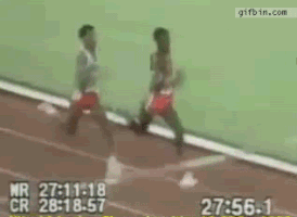 janvejdelek  GIF