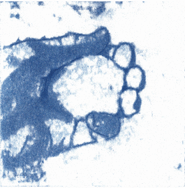 CCarters illustration hand hands drawn GIF