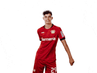 bayer04-bayer-leverkusen-04-l3rRKeUJ5LK82VksZM