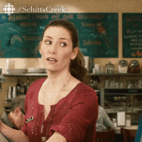 sarah levy comedy GIF by CBC