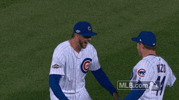 Chicago Cubs Hug GIF by MLB