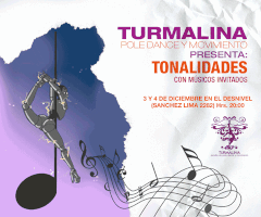 ivo poledance pole dance turmalina GIF
