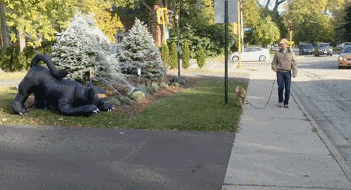 Cane Se La Fa Sotto Dalla Paura GIF by Ad Minchiam