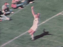 soccer bowl dance GIF by New York Cosmos