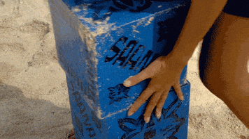 australia GIF by Australian Survivor