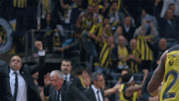excited fenerbahce istanbul GIF by EuroLeague